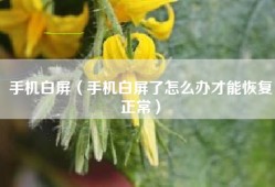 手机白屏（手机白屏了怎么办才能恢复正常）