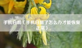 手机白屏（手机白屏了怎么办才能恢复正常）