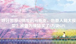 呼吁暂停AI研发的马斯克，也要入局大模型？被曝为推特买了1万块GPU
