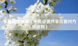 手机设置共享（手机设置共享位置对方知道吗）