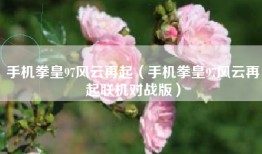 手机拳皇97风云再起（手机拳皇97风云再起联机对战版）