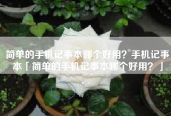简单的手机记事本哪个好用？手机记事本「简单的手机记事本哪个好用？」