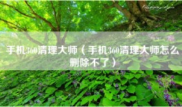 手机360清理大师（手机360清理大师怎么删除不了）