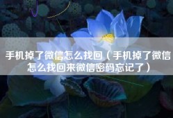 手机掉了微信怎么找回（手机掉了微信怎么找回来微信密码忘记了）