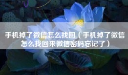 手机掉了微信怎么找回（手机掉了微信怎么找回来微信密码忘记了）
