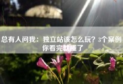 总有人问我：独立站该怎么玩？3个案例，你看完就懂了
