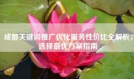 成都关键词推广优化服务性价比全解析，选择最优方案指南