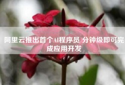 阿里云推出首个AI程序员 分钟级即可完成应用开发