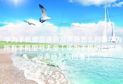华为手机微信语音没声音怎么回事华为所有手机型号大全「华为手机微信语音没声音怎么回事」