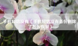 手机短信没有（手机短信没有备份删除了怎么恢复）