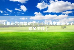 手机进水屏幕花了（手机进水屏幕花了修多少钱）