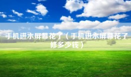 手机进水屏幕花了（手机进水屏幕花了修多少钱）