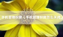 手机管理权限（手机管理权限怎么关闭）