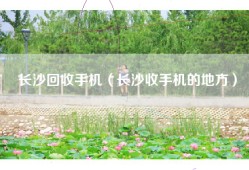 长沙回收手机（长沙收手机的地方）