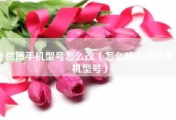 微博手机型号怎么改（怎么修改微博手机型号）