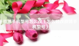 微博手机型号怎么改（怎么修改微博手机型号）