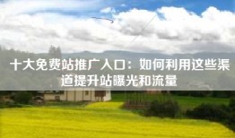 十大免费站推广入口：如何利用这些渠道提升站曝光和流量