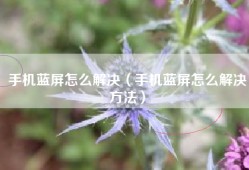 手机蓝屏怎么解决（手机蓝屏怎么解决方法）