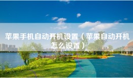 苹果手机自动开机设置（苹果自动开机怎么设置）