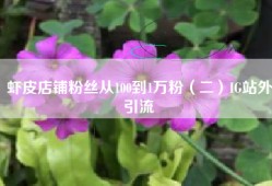 虾皮店铺粉丝从100到1万粉（二）IG站外引流