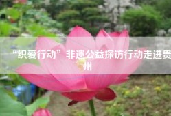“织爱行动”非遗公益探访行动走进贵州