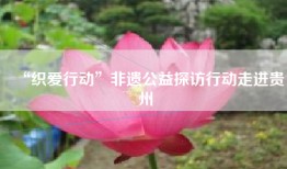 “织爱行动”非遗公益探访行动走进贵州