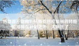 特朗普不管用？马斯克回应加州将特斯拉排除在补贴之外：太疯狂了