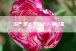 国产 黑冰 天枢 PLUS 羽绒服