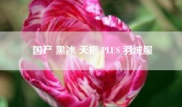 国产 黑冰 天枢 PLUS 羽绒服