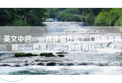 英文中的meme具体指什么？（马斯克再掀meme热潮，meme到底有什么？）
