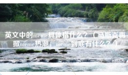 英文中的meme具体指什么？（马斯克再掀meme热潮，meme到底有什么？）