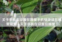 关于手机在设置在哪里手机快捷键在哪里设置「关于手机在设置在哪里」