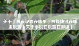 关于手机在设置在哪里手机快捷键在哪里设置「关于手机在设置在哪里」