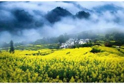 环一成功举办【年度可持续发展高峰论坛】