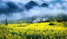 我国54岁老股民青睐的杠的杆排行不断优化交易系统和提高股票质量
