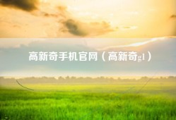 高新奇手机官网（高新奇g1）