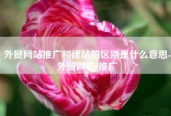 外贸网站推广和建站的区别是什么意思-外贸网站 推广