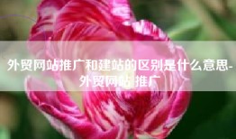 外贸网站推广和建站的区别是什么意思-外贸网站 推广