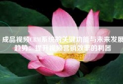 成品视频CRM系统的关键功能与未来发展趋势：提升视频营销效率的利器