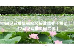 空间说说批量删除器按键精灵手机助手「空间说说批量删除器」