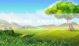 杭州SEM竞价，实现网络营销利器