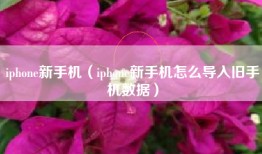 iphone新手机（iphone新手机怎么导入旧手机数据）