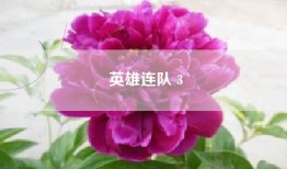 英雄连队 3