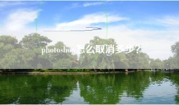 photoshop怎么取消多步？