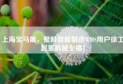 上海宝马展，聚龄智能制造WMS用户徐工起重机械坐镇！