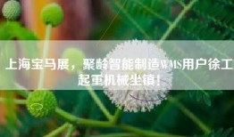 上海宝马展，聚龄智能制造WMS用户徐工起重机械坐镇！