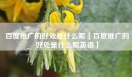 百度推广的好处是什么呢【百度推广的好处是什么呢英语】
