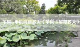 苹果xr手机屏幕多大（苹果 xr屏幕多大）