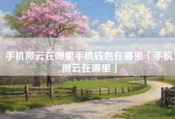 手机微云在哪里手机钱包在哪里「手机微云在哪里」