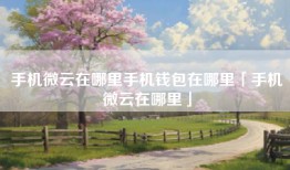 手机微云在哪里手机钱包在哪里「手机微云在哪里」